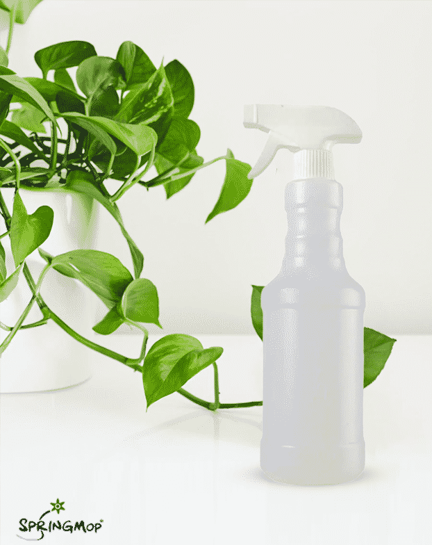 Plant Spray Bottle by SpringMop